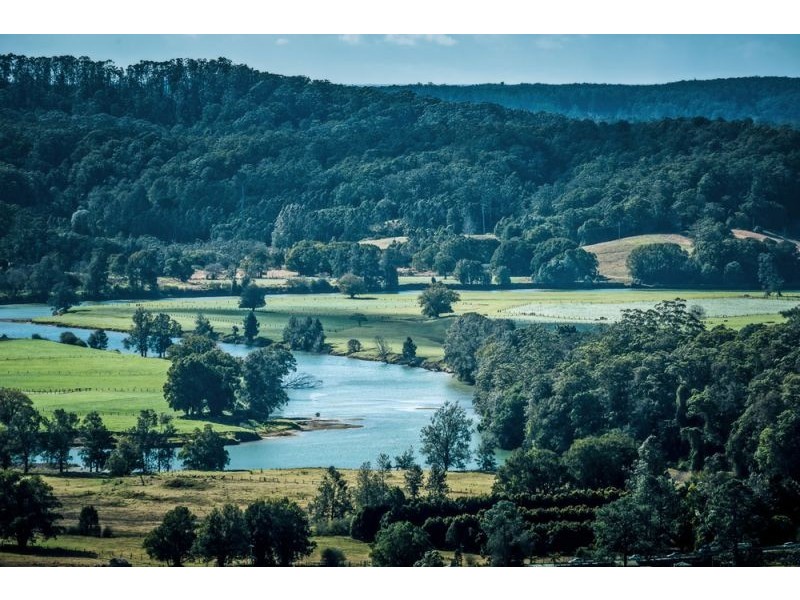 221 Old Brierfield Road, Bellingen NSW 2454
