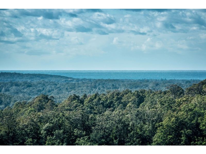 221 Old Brierfield Road, Bellingen NSW 2454