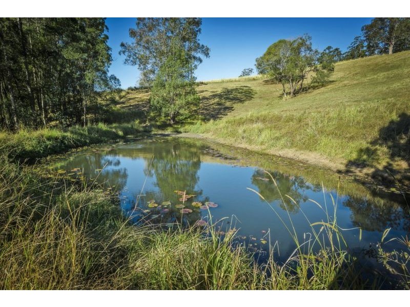 221 Old Brierfield Road, Bellingen NSW 2454