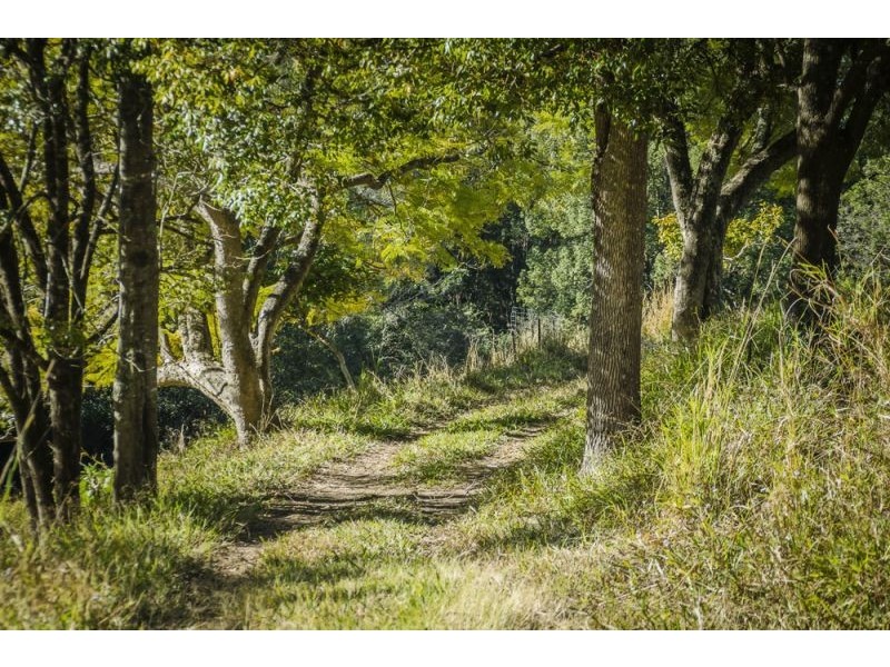 221 Old Brierfield Road, Bellingen NSW 2454