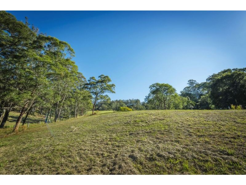 221 Old Brierfield Road, Bellingen NSW 2454