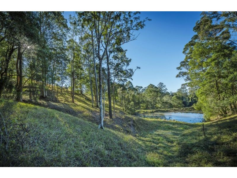 221 Old Brierfield Road, Bellingen NSW 2454
