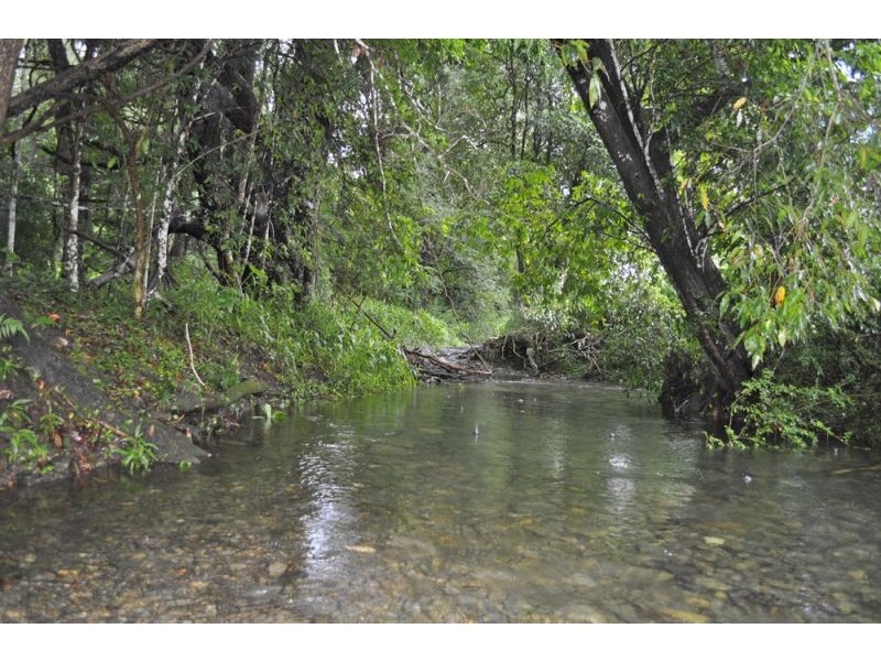 151 Promised Land Road, Bellingen NSW 2454