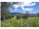 151 Promised Land Road, Bellingen NSW 2454