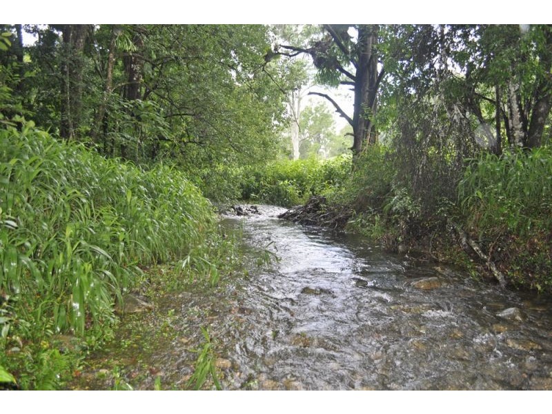 151 Promised Land Road, Bellingen NSW 2454