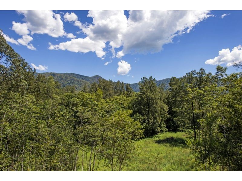 151 Promised Land Road, Bellingen NSW 2454