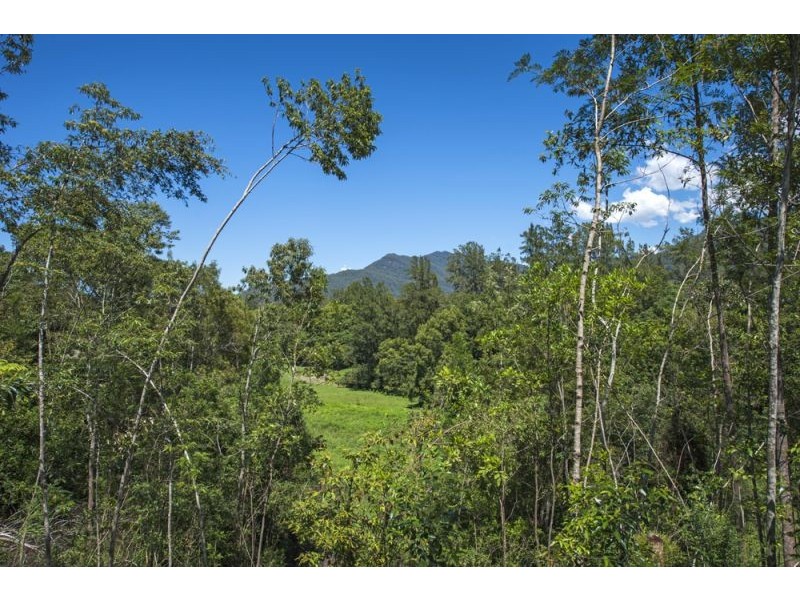 151 Promised Land Road, Bellingen NSW 2454