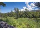 151 Promised Land Road, Bellingen NSW 2454