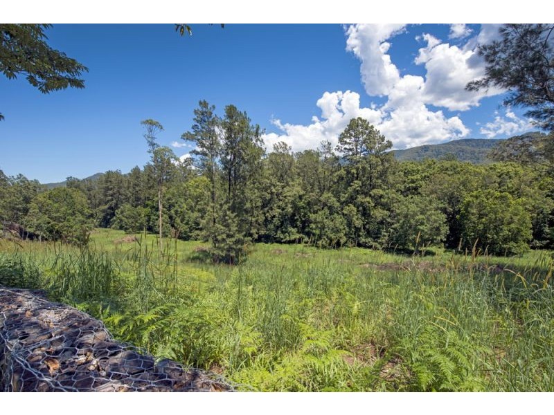 151 Promised Land Road, Bellingen NSW 2454