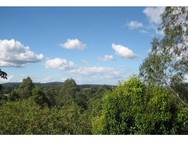 Bellingen NSW 2454
