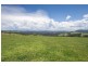 543 Old Coast Road, Dorrigo NSW 2453