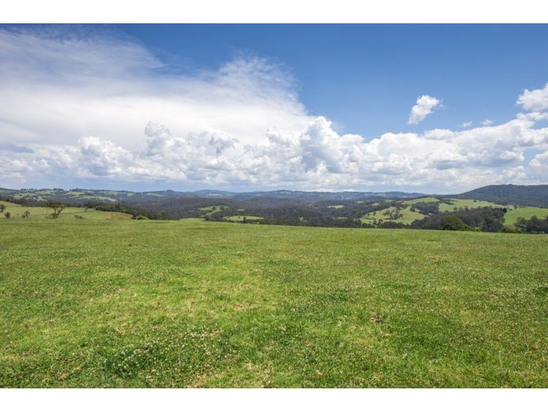 543 Old Coast Road, Dorrigo NSW 2453