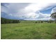 543 Old Coast Road, Dorrigo NSW 2453