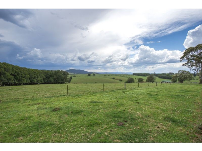 543 Old Coast Road, Dorrigo NSW 2453