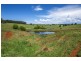 543 Old Coast Road, Dorrigo NSW 2453