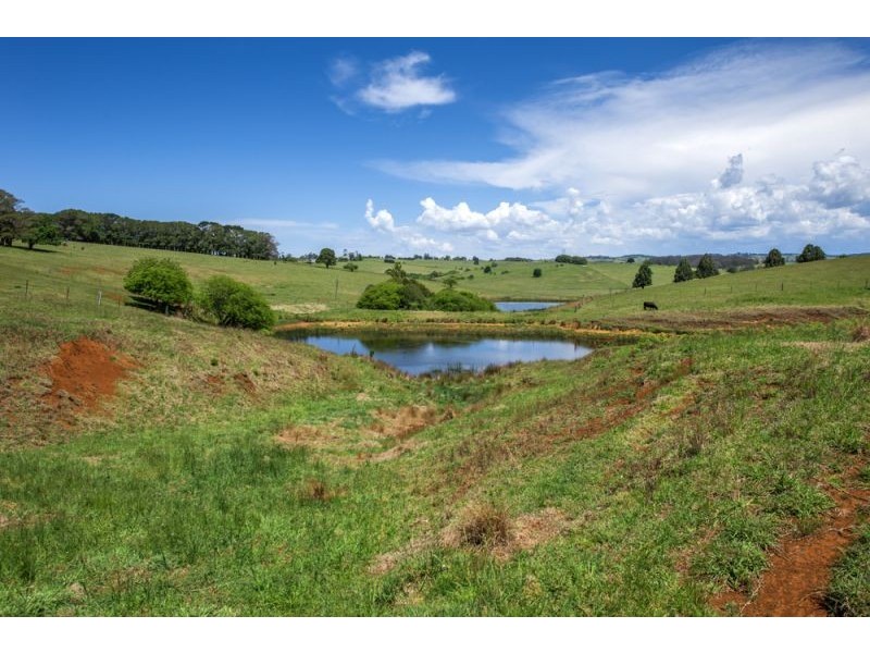 543 Old Coast Road, Dorrigo NSW 2453