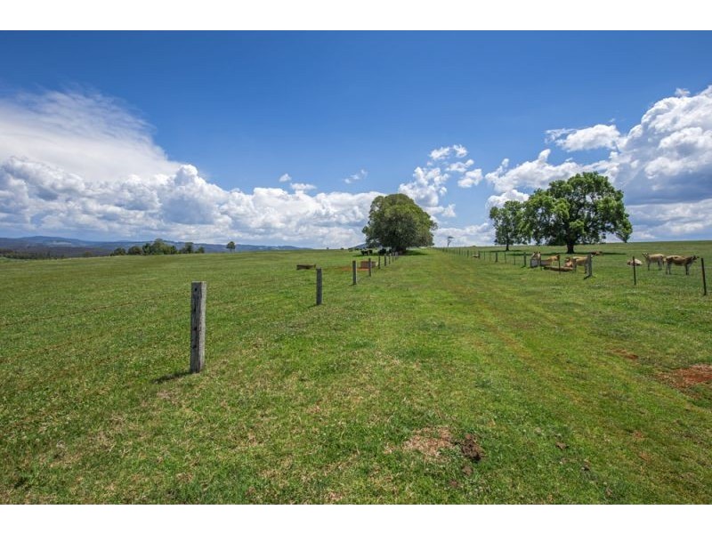 543 Old Coast Road, Dorrigo NSW 2453