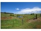 543 Old Coast Road, Dorrigo NSW 2453