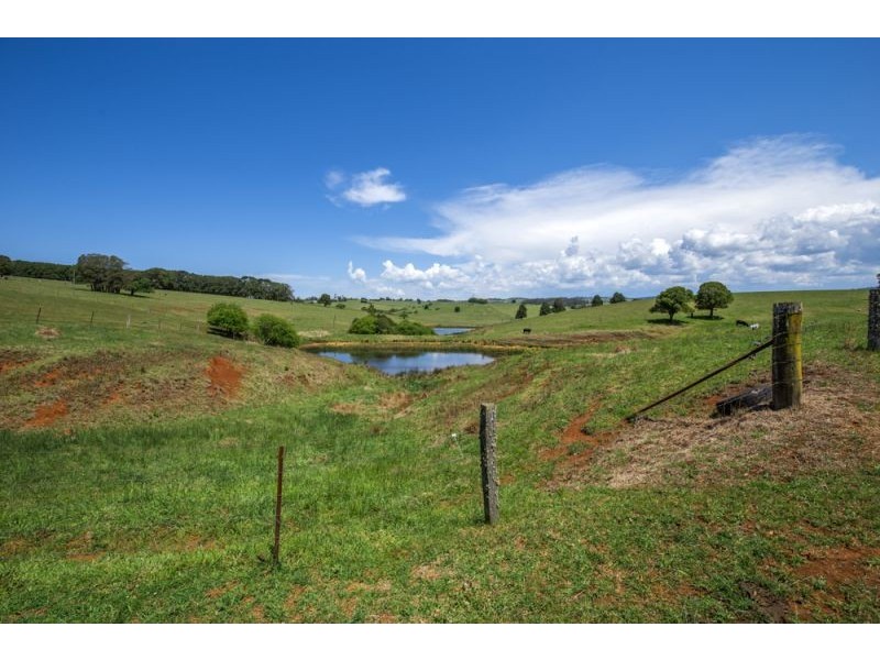 543 Old Coast Road, Dorrigo NSW 2453
