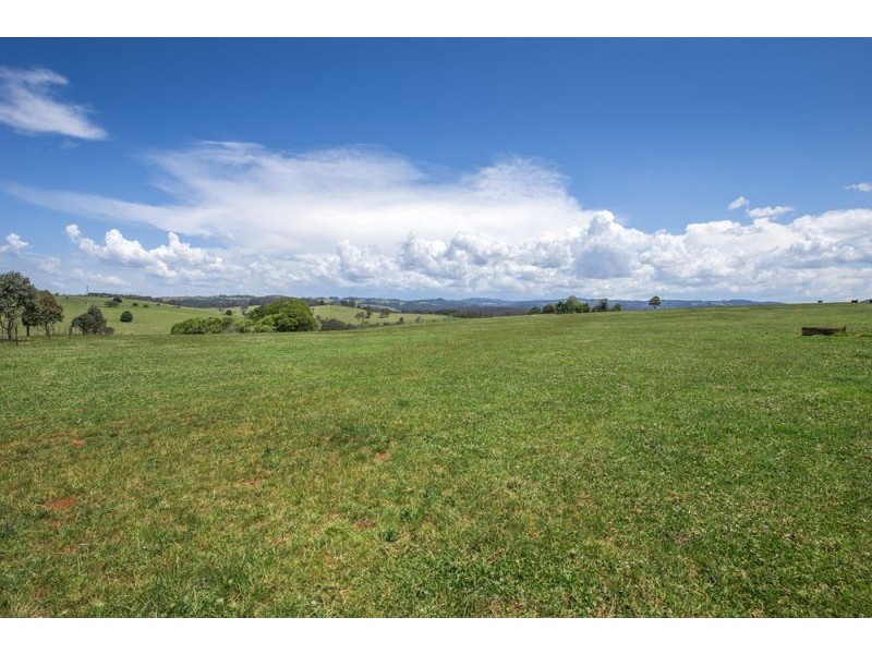 543 Old Coast Road, Dorrigo NSW 2453