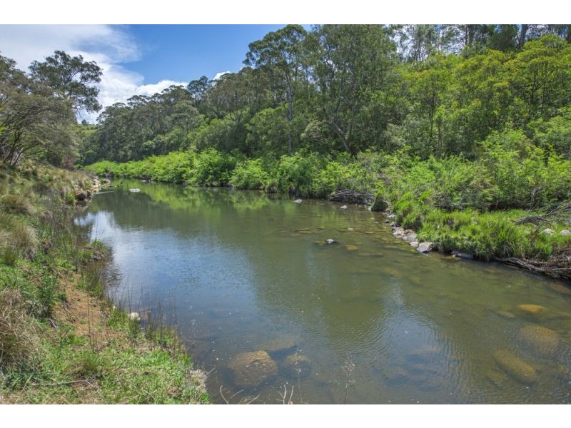 543 Old Coast Road, Dorrigo NSW 2453