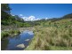 543 Old Coast Road, Dorrigo NSW 2453