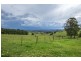 543 Old Coast Road, Dorrigo NSW 2453