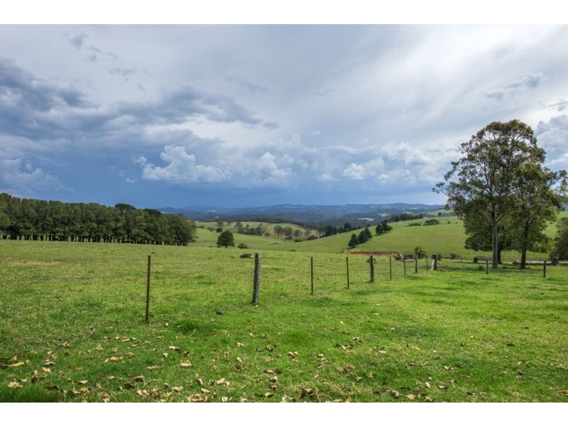 543 Old Coast Road, Dorrigo NSW 2453