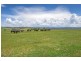 543 Old Coast Road, Dorrigo NSW 2453
