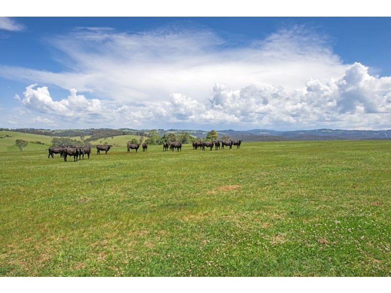 543 Old Coast Road, Dorrigo NSW 2453