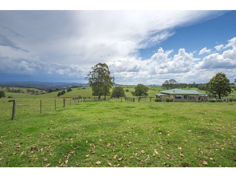 543 Old Coast Road, Dorrigo NSW 2453