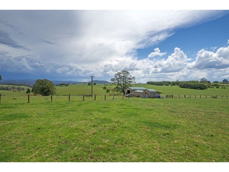543 Old Coast Road, Dorrigo NSW 2453