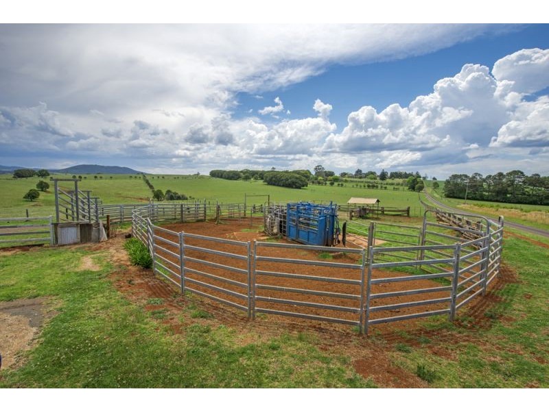 543 Old Coast Road, Dorrigo NSW 2453