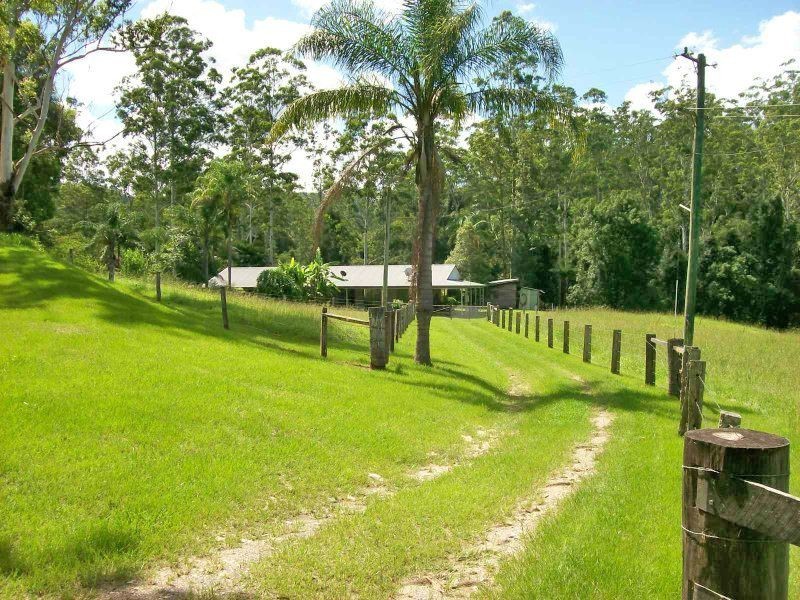 2126 Kalang Road, Bellingen NSW 2454