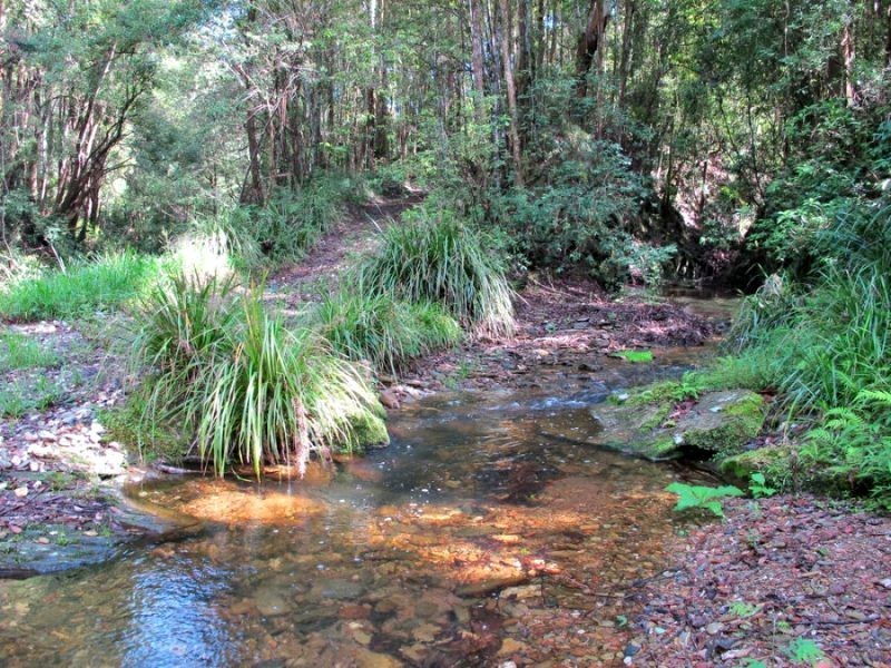 2126 Kalang Road, Bellingen NSW 2454