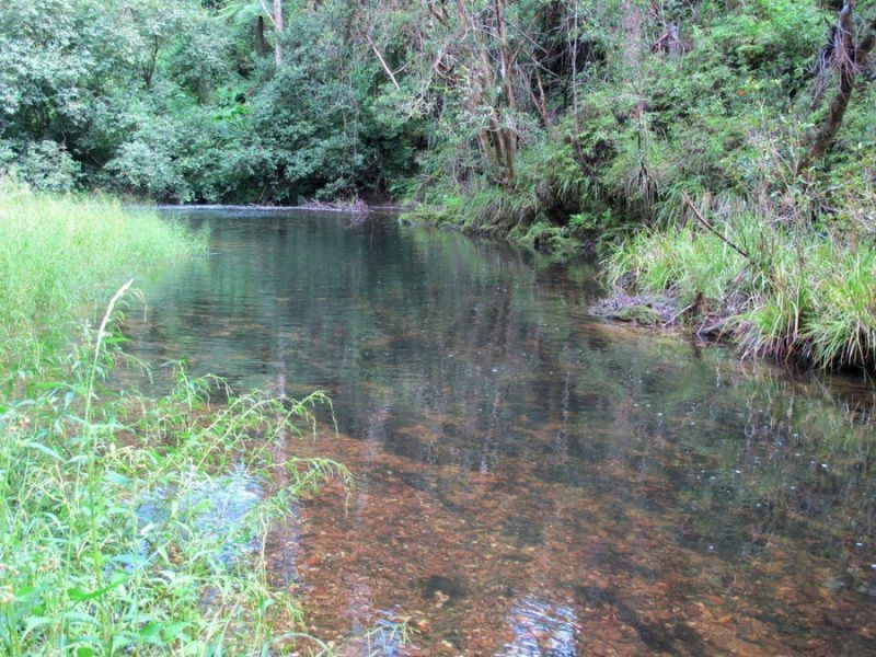 2126 Kalang Road, Bellingen NSW 2454