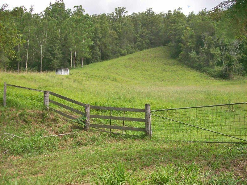 2126 Kalang Road, Bellingen NSW 2454