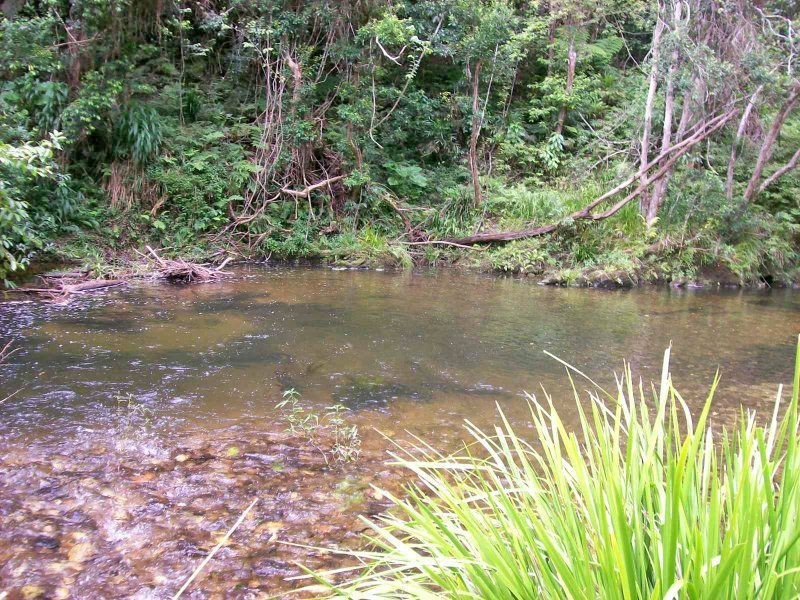 2126 Kalang Road, Bellingen NSW 2454