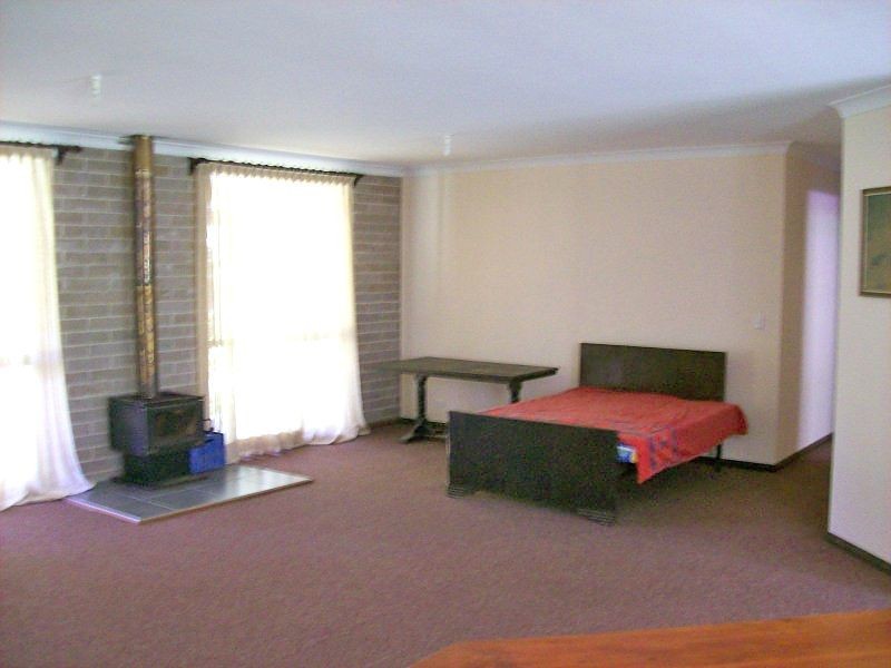 2126 Kalang Road, Bellingen NSW 2454