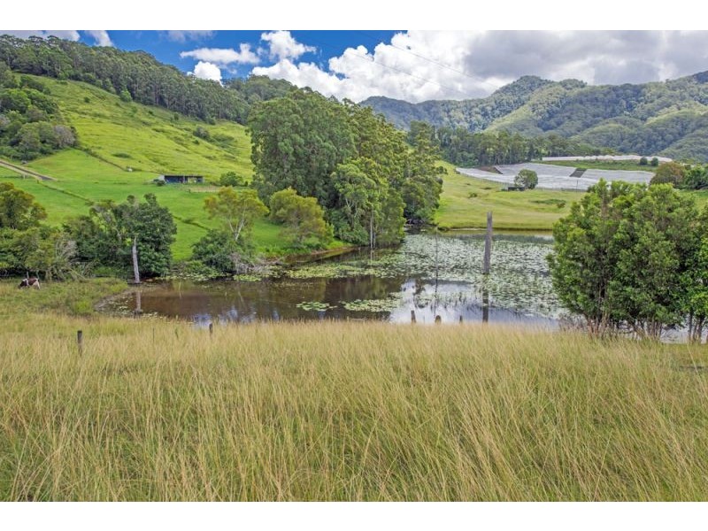 505c Crossmaglen Road, Bonville NSW 2441