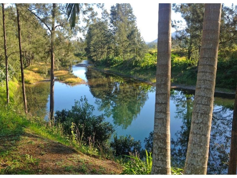 2086 Waterfall Way, Bellingen NSW 2454