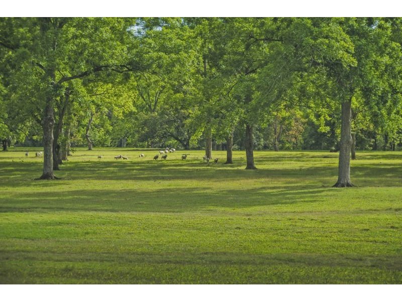 2086 Waterfall Way, Bellingen NSW 2454