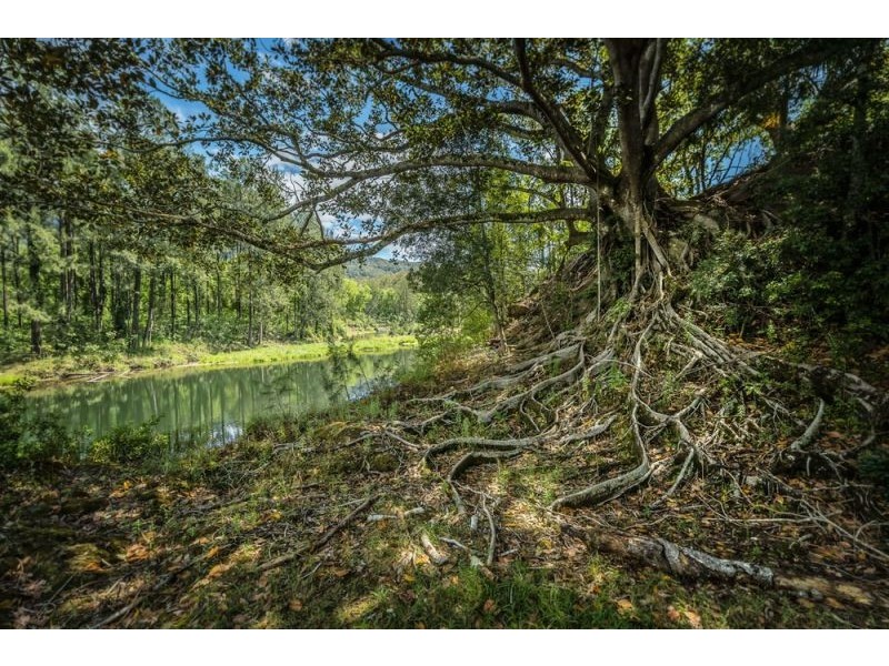2086 Waterfall Way, Bellingen NSW 2454