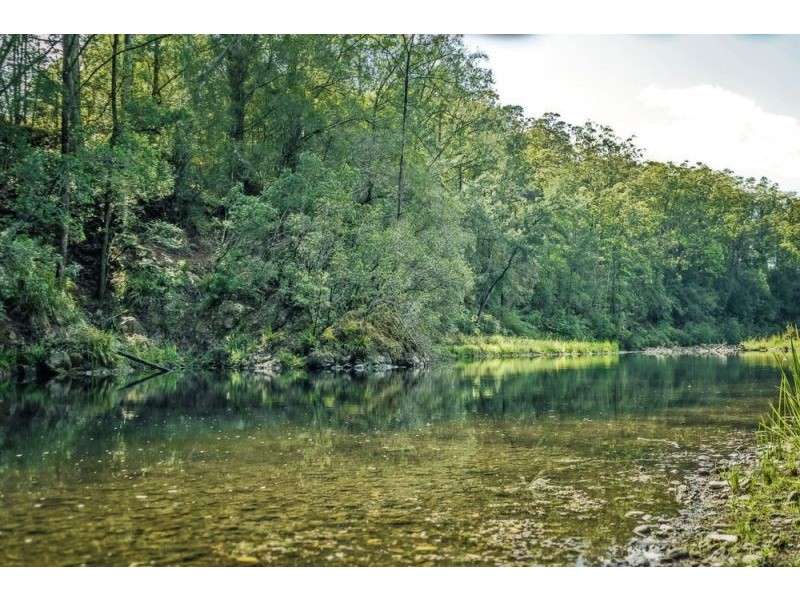 2086 Waterfall Way, Bellingen NSW 2454