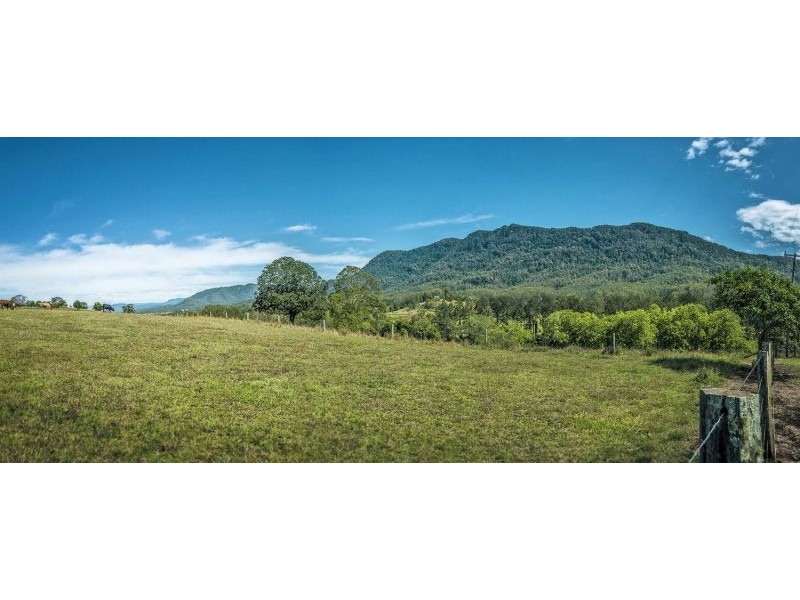 2086 Waterfall Way, Bellingen NSW 2454