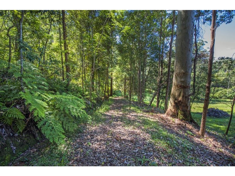 94 Scotchman Road, Bellingen NSW 2454