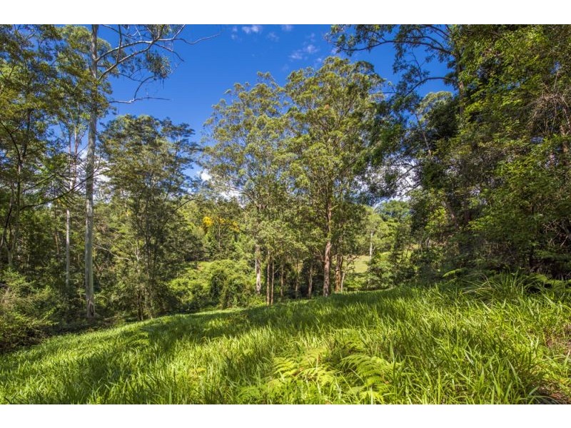 94 Scotchman Road, Bellingen NSW 2454