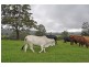 327 Moleton Road, Lowanna NSW 2450