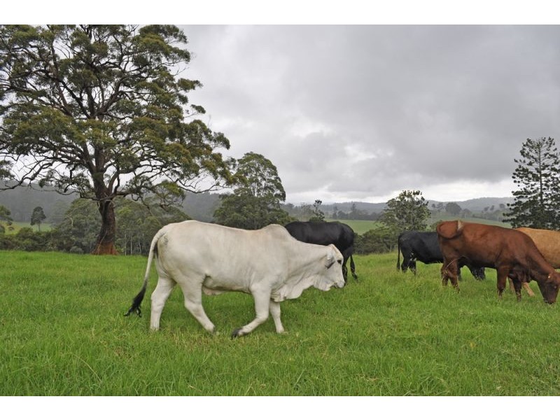 327 Moleton Road, Lowanna NSW 2450