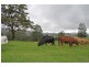 327 Moleton Road, Lowanna NSW 2450